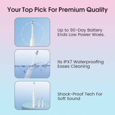 주문 ABS 소재 LED 전동 칫솔 충전 타입 C IPX7 치아 연마 세척 OEM online manufacture